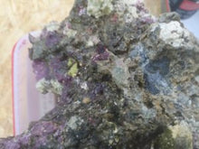 Lade das Bild in den Galerie-Viewer, Lebendgestein pöros und schön bewachsen